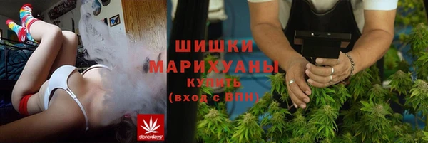 ПСИЛОЦИБИНОВЫЕ ГРИБЫ Новокубанск