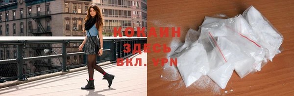 амф Новозыбков