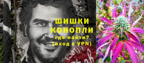 ПСИЛОЦИБИНОВЫЕ ГРИБЫ Новокубанск