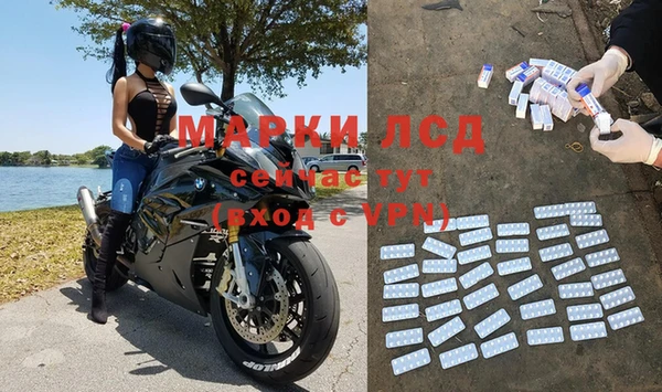 амф Новозыбков