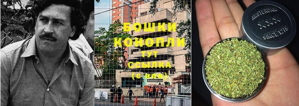 ПСИЛОЦИБИНОВЫЕ ГРИБЫ Новокубанск