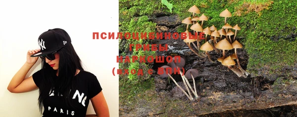 ПСИЛОЦИБИНОВЫЕ ГРИБЫ Новокубанск