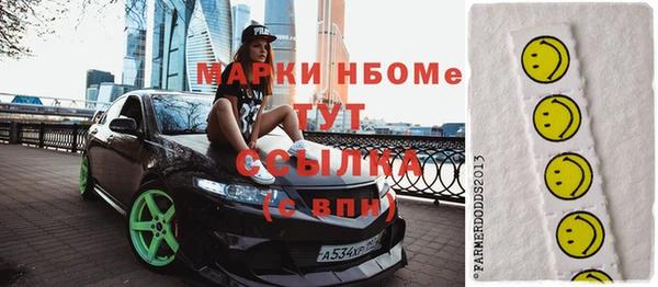 амф Новозыбков