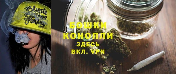 ПСИЛОЦИБИНОВЫЕ ГРИБЫ Новокубанск
