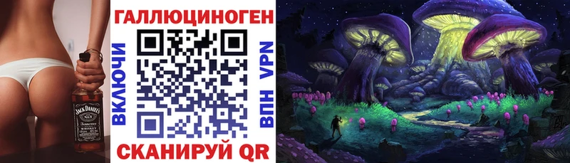 KRAKEN ссылки  Славск  Галлюциногенные грибы ЛСД 